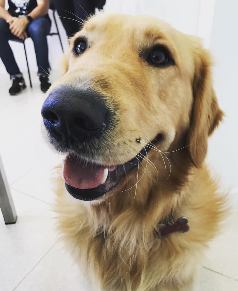 Clinica Veterinaria Parque San Benito