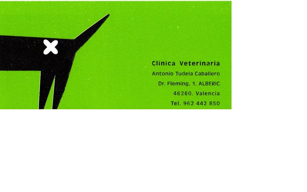 Clinica Veterinaria Tudela — Del propietario