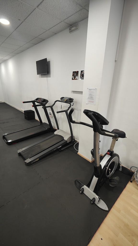 TB Fitness — Ejercicio fisico