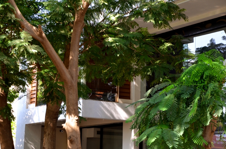 The Sky Imperial Aarivaa Luxury Boutique Homestay