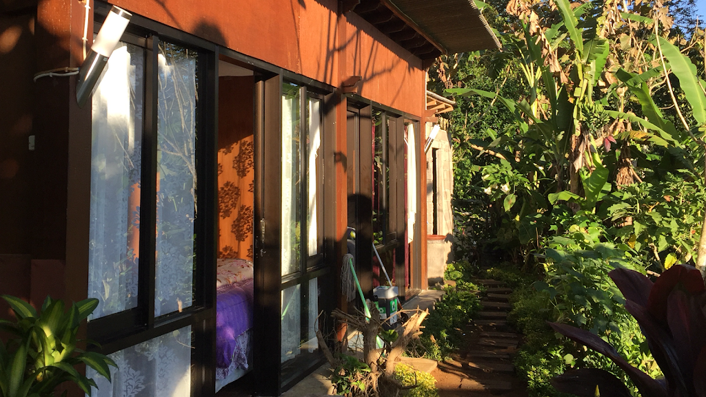 Jungle adventure cabin camping