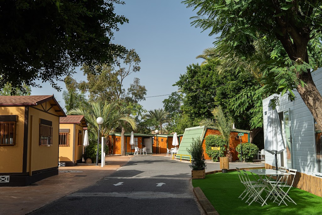 Las Palmeras Camping Crevillente