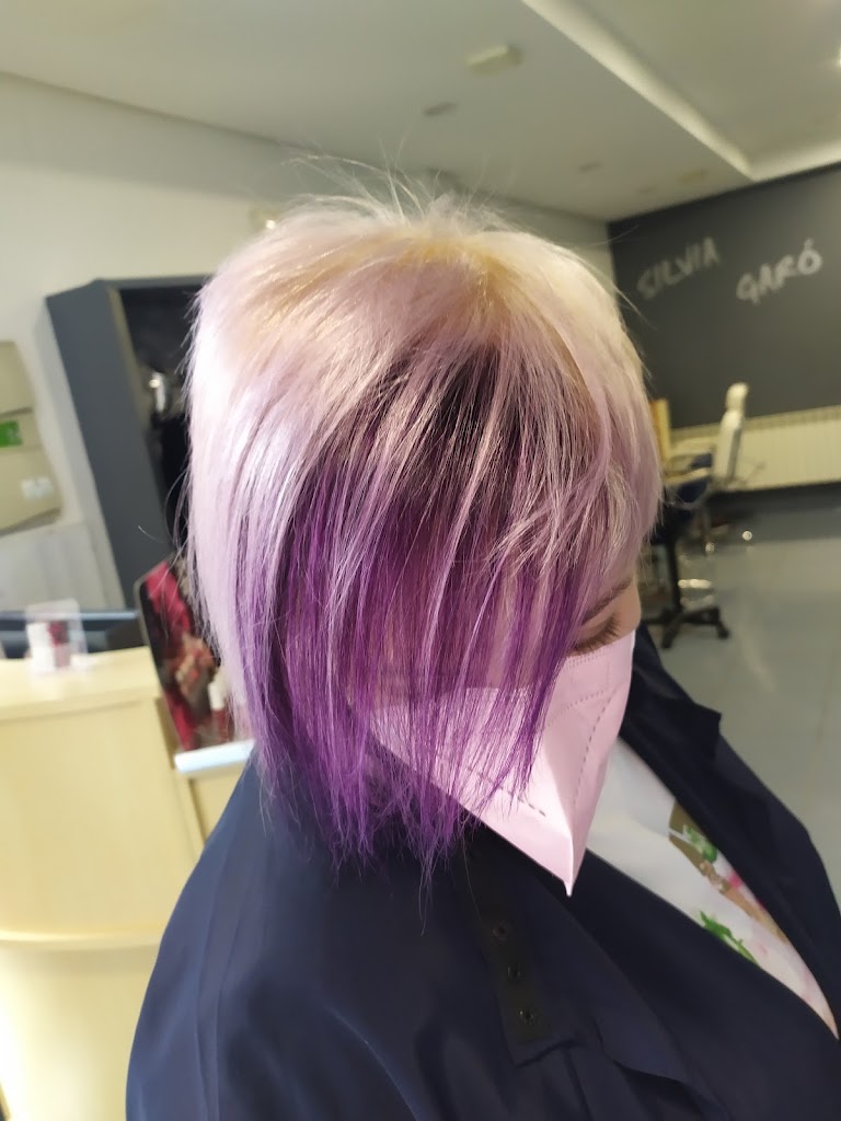 Peluqueria y estetica Silvia Garo' — Del propietario