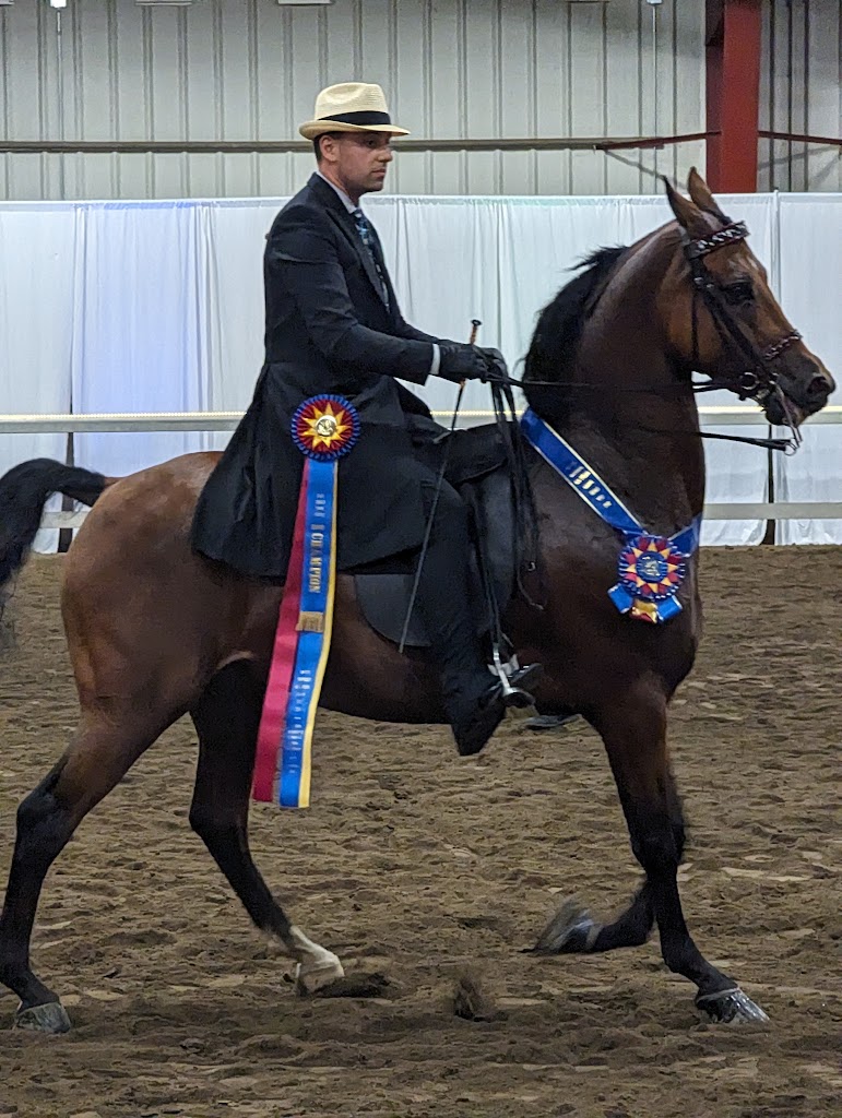 Equestrian club in Northampton
