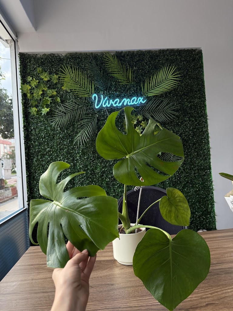 Logo for MÜCAHİT YÜCEL