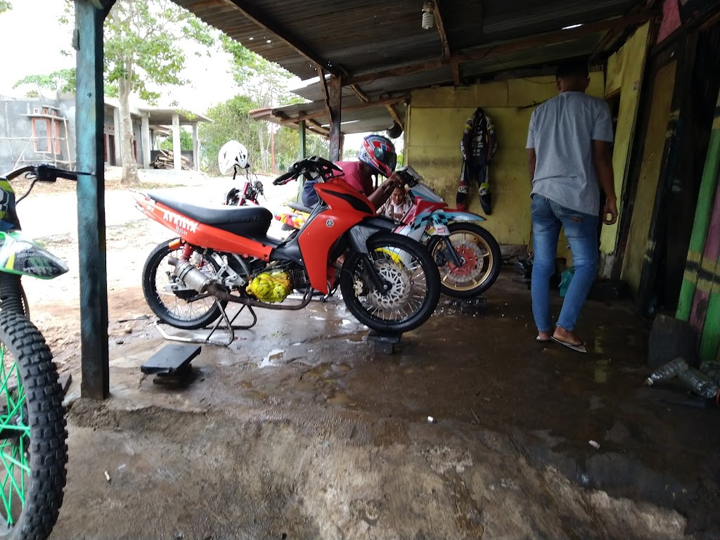 manual tech motor