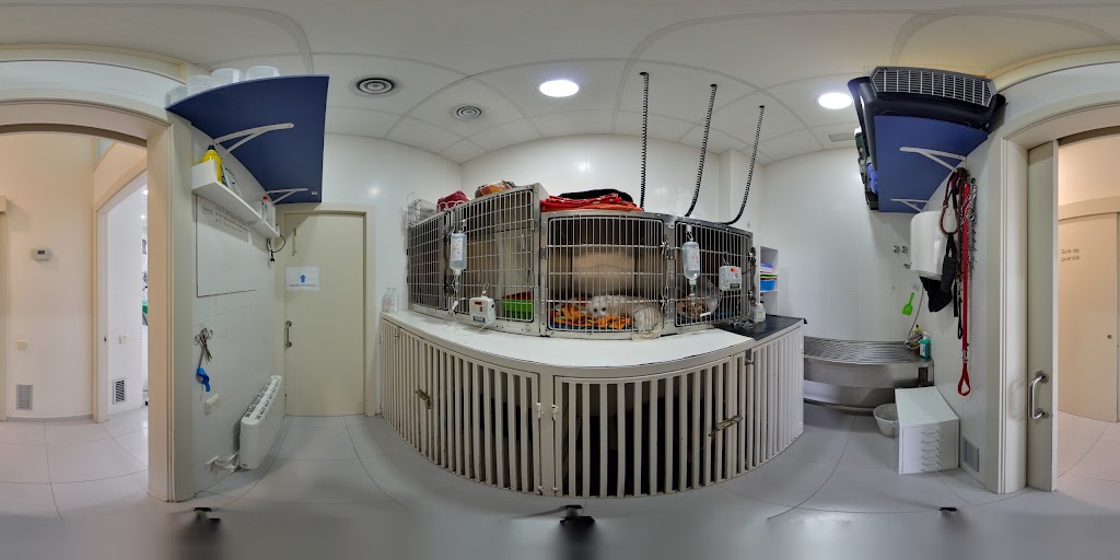 Medivet Mirasol — Street View y 360deg