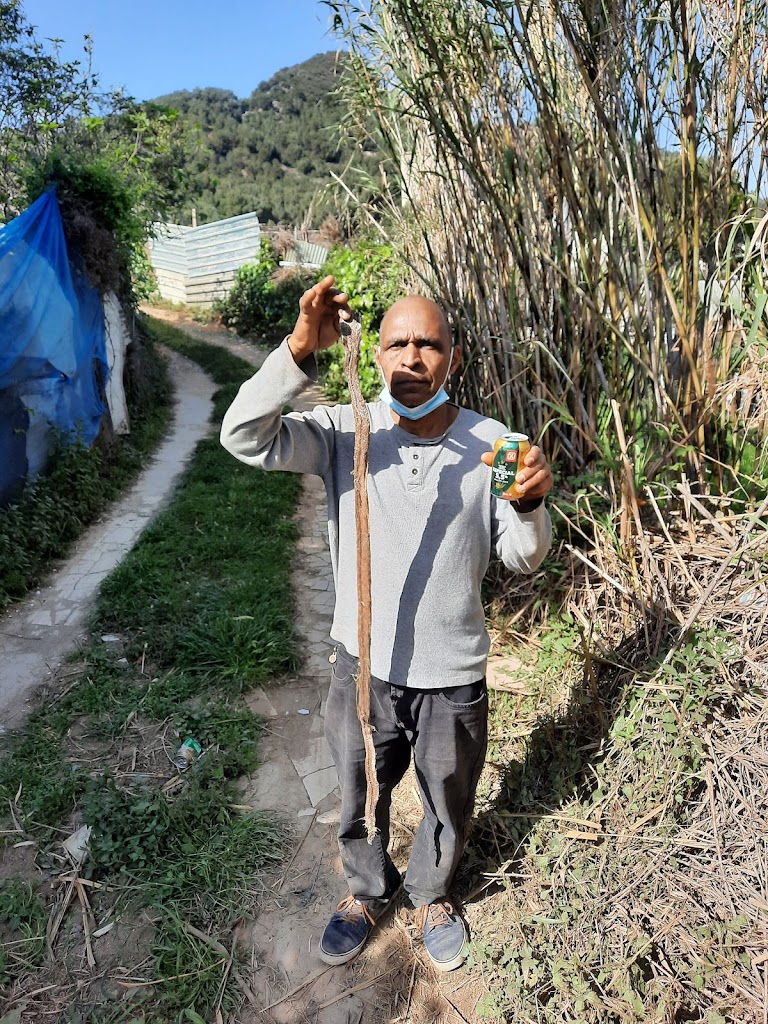 Ocio familiar la Lomita