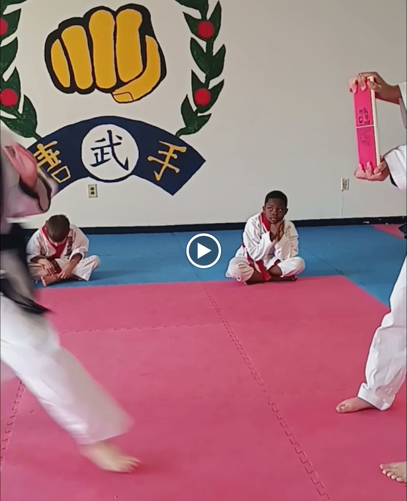  American Tang Soo Do Karate