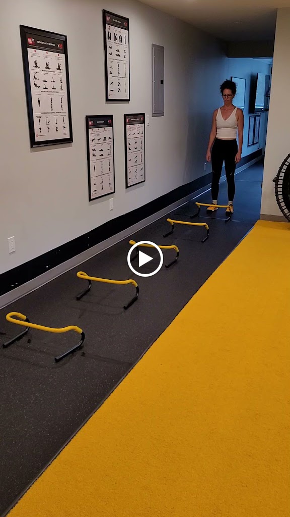  The Unique Playground