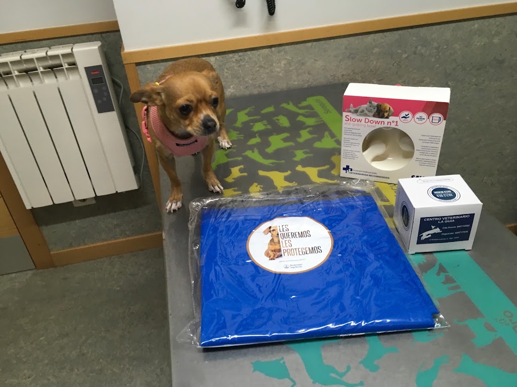 Centro Veterinario La Guia — Perro