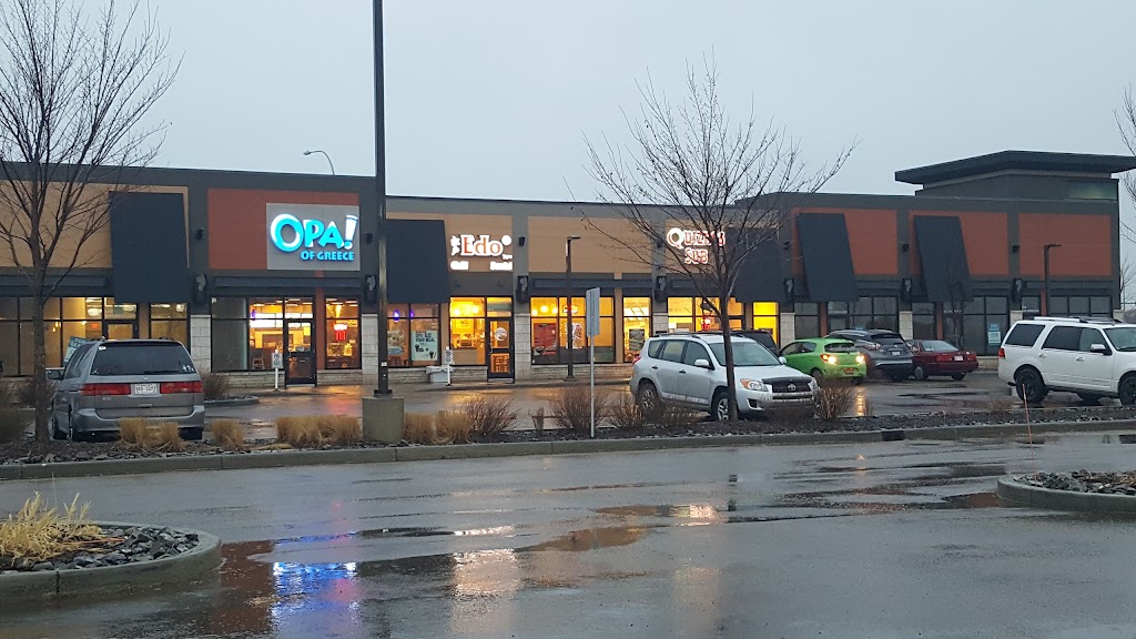 Edo Japan in Sherwood Park