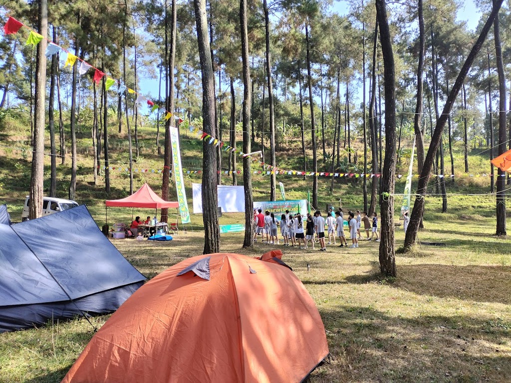 Pinus Jungle Camp ( Nature Camp )