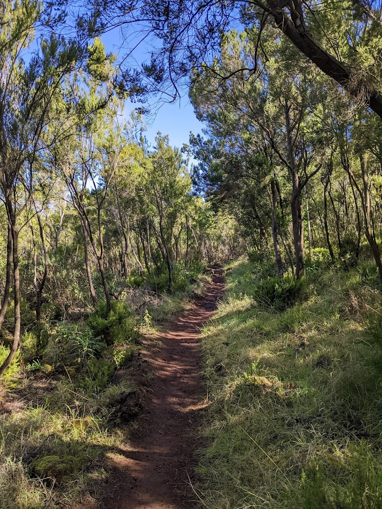 Camino Natural de Anaga - Chasna (GR-131)