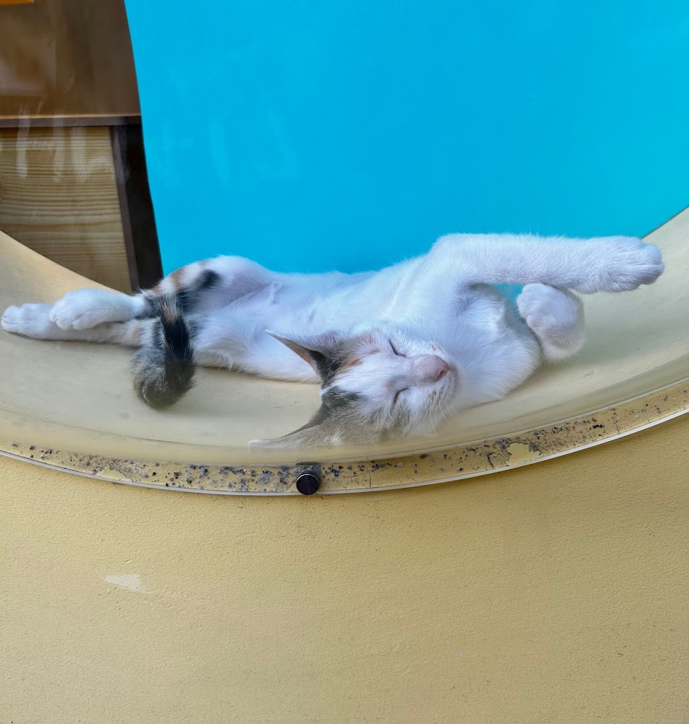 六貓茶坊 的照片