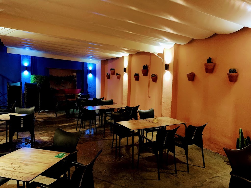 Ajolote Bar — Ambiente