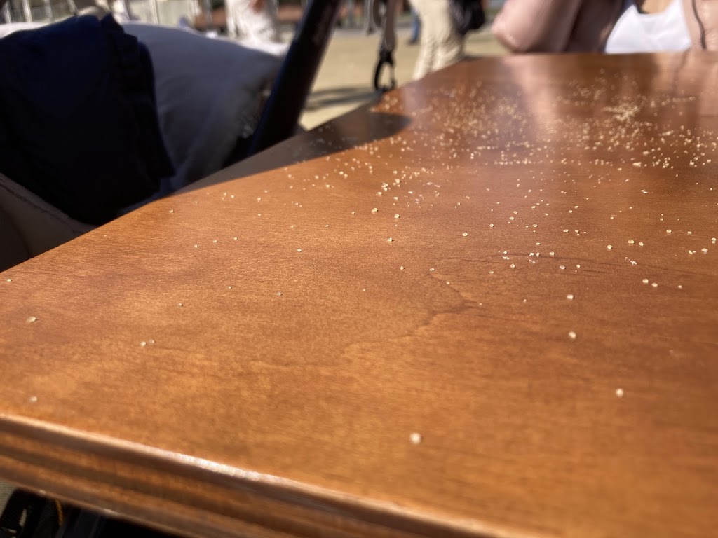 BAR CREU de Coll Fava — Mas recientes
