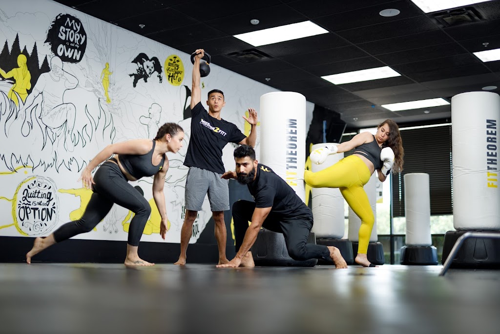  FitTheorem - Everett