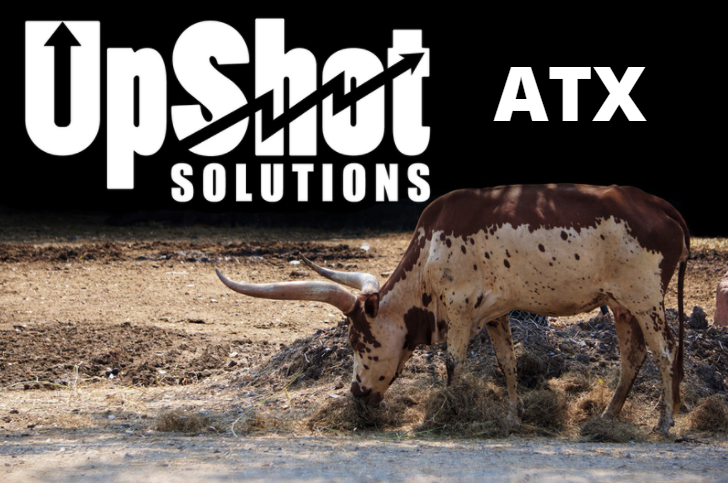 Upshot Solutions Lead Generation Internet Marketing Austin Tx