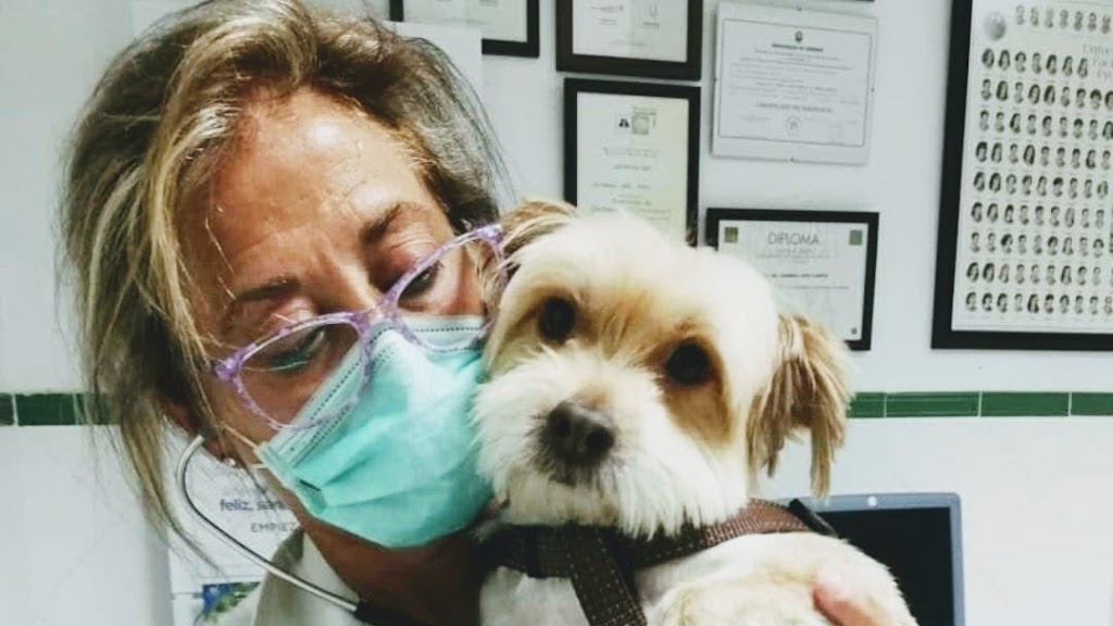 Clinica Veterinaria Comarcal | Urgencias 610687077