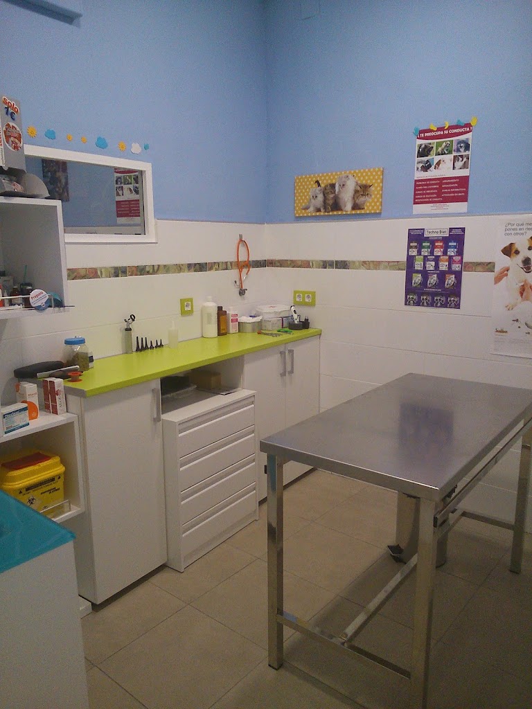 Centro Veterinario La Union — Del propietario