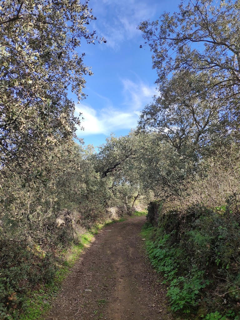 Sendero SL-BA 150 Camino Huertas de la Rivera