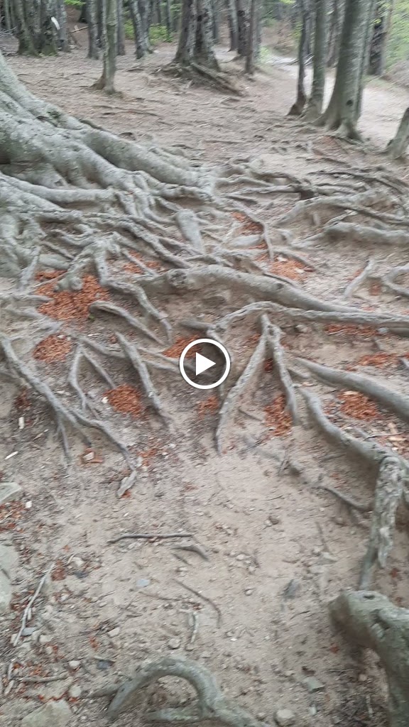 Parking de Santa Fe de Montseny — Videos