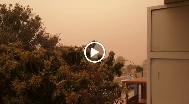 Instinto by Ana Galvez Estilista — Videos