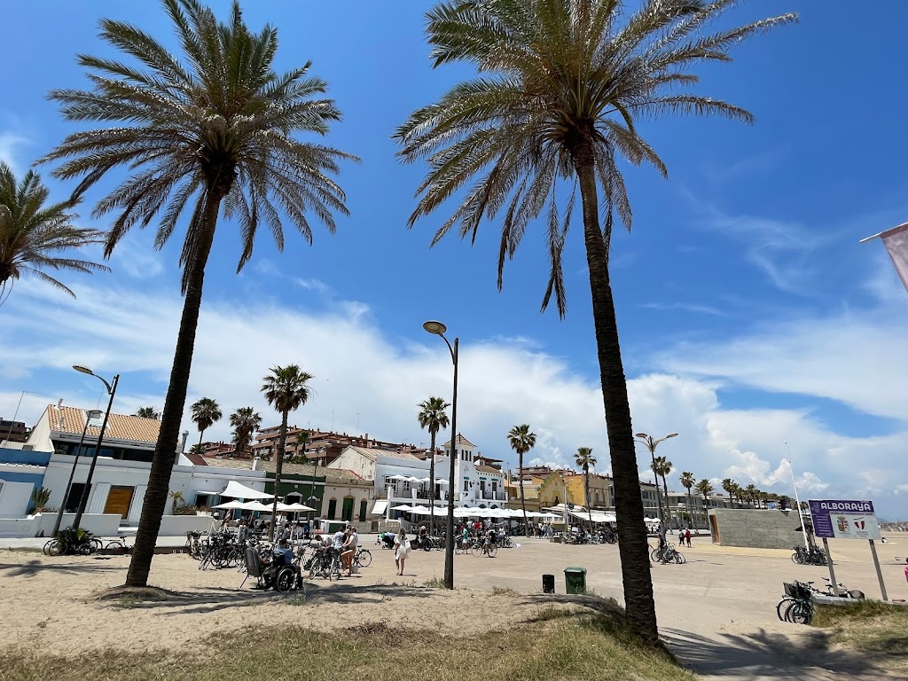 El Palmeral de la Patacona