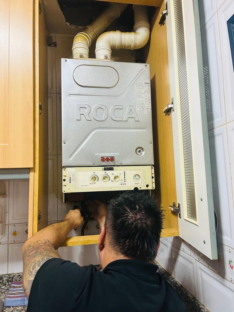 DARTEC servicios
