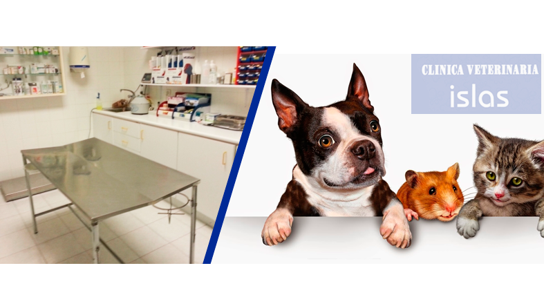 Clinica Veterinaria Islas