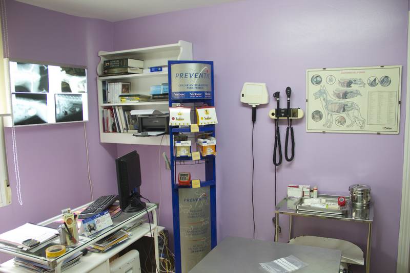 Clinica Centro Veterinario Avenida