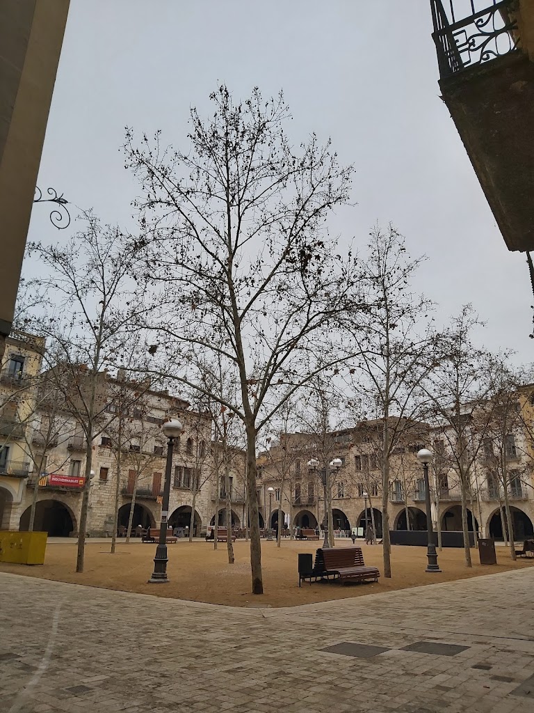 Jordi Peraferrer Mallol