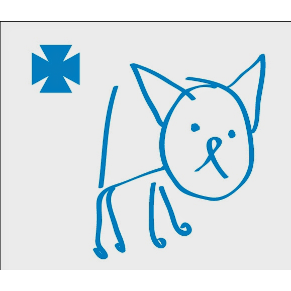 Veterinario Juan Luque San Rafael — Gato