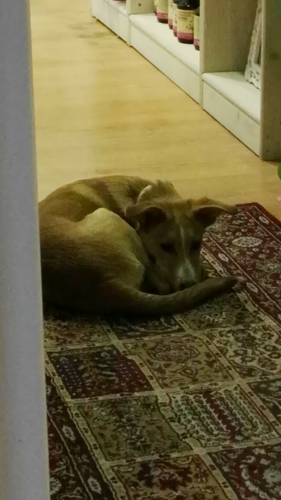 BERGA AUTOMOCIO S.L.