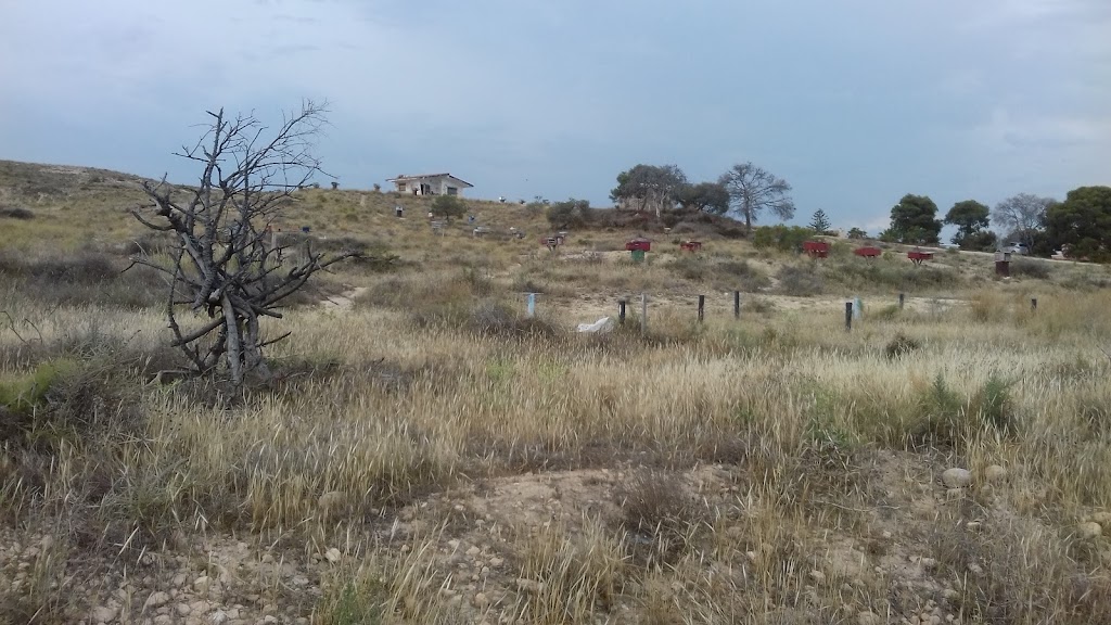 Sociedad Columbicultora Sant Joan d'Alacant