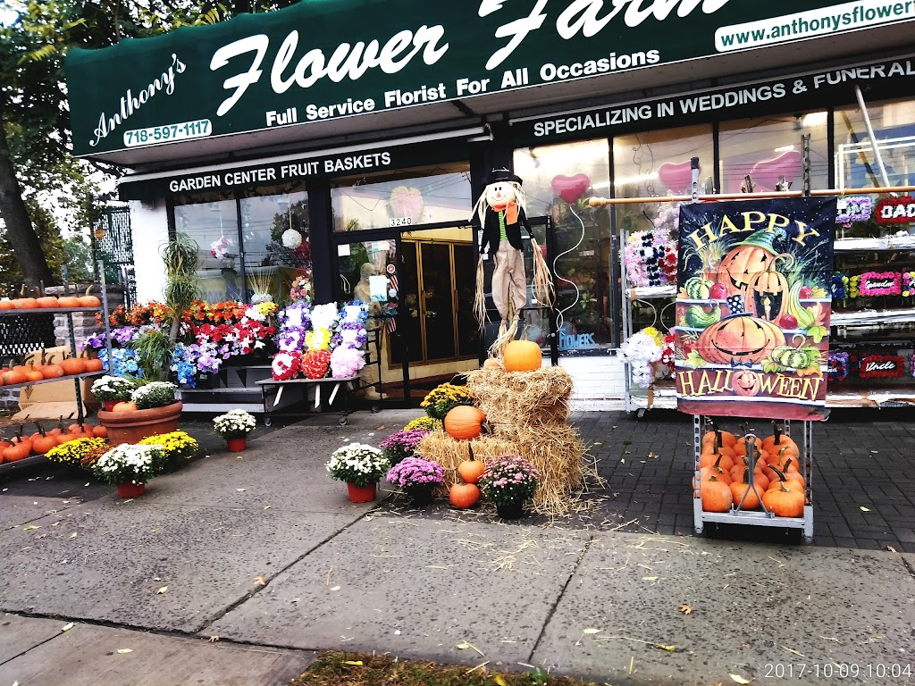 Flowers by Frankie