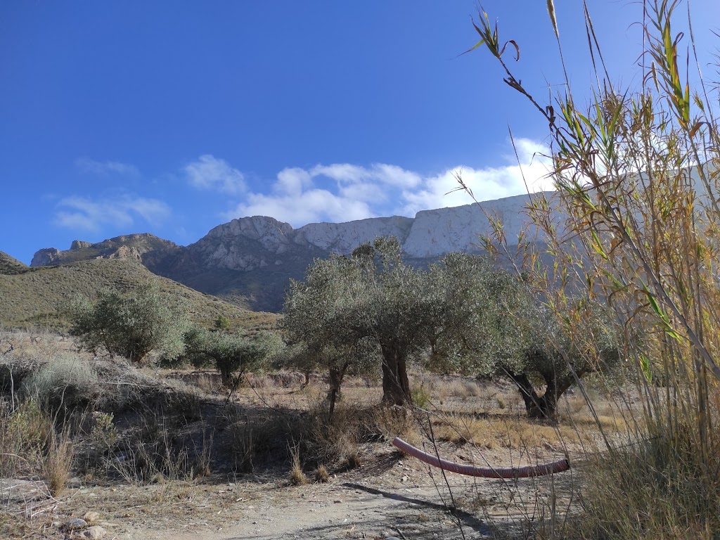 Pozo de labranza