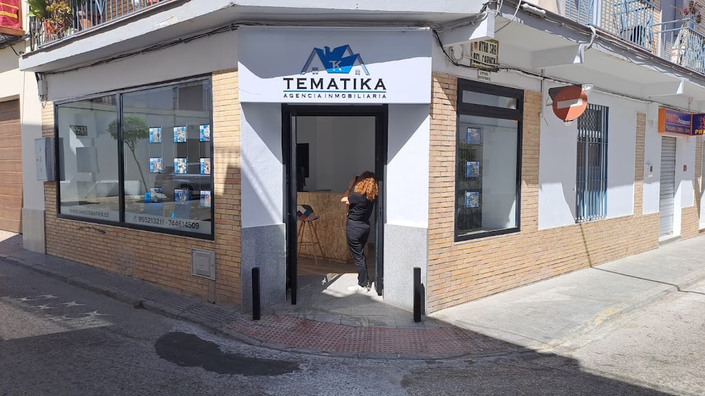 Tematika inmobiliaria