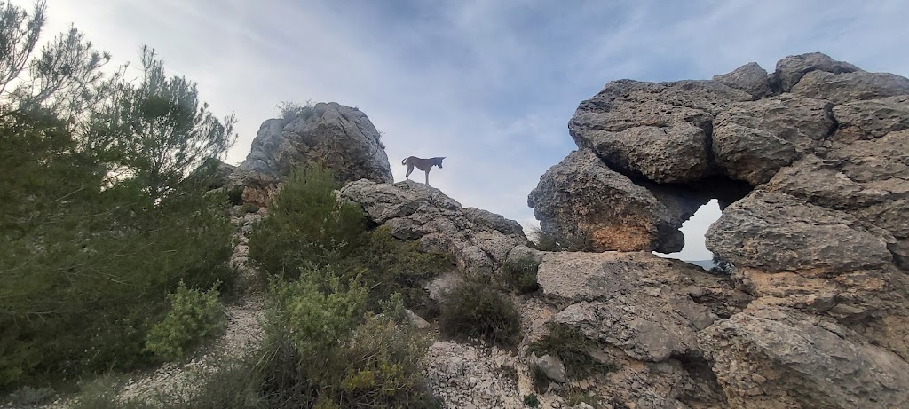 Penya forada