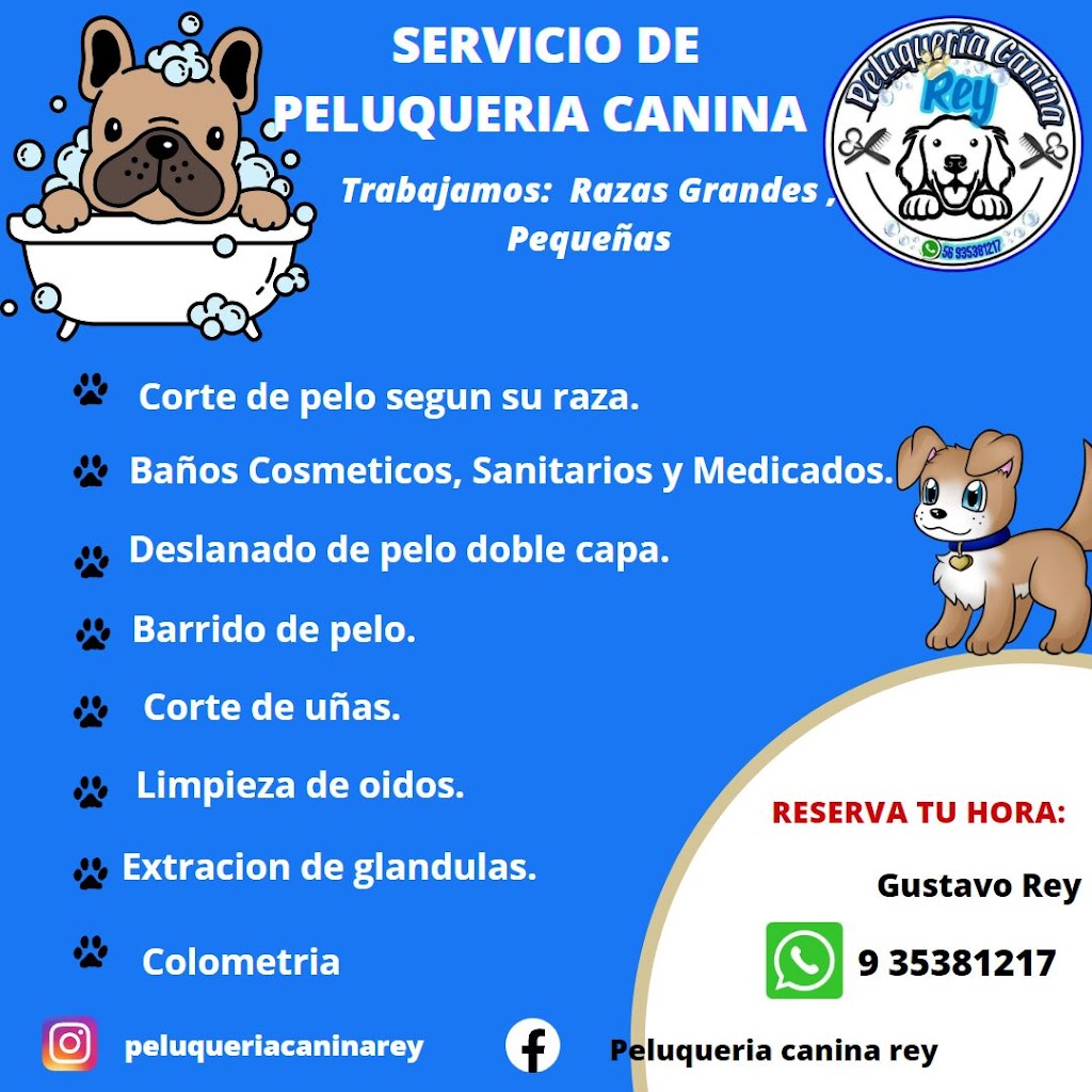Menú