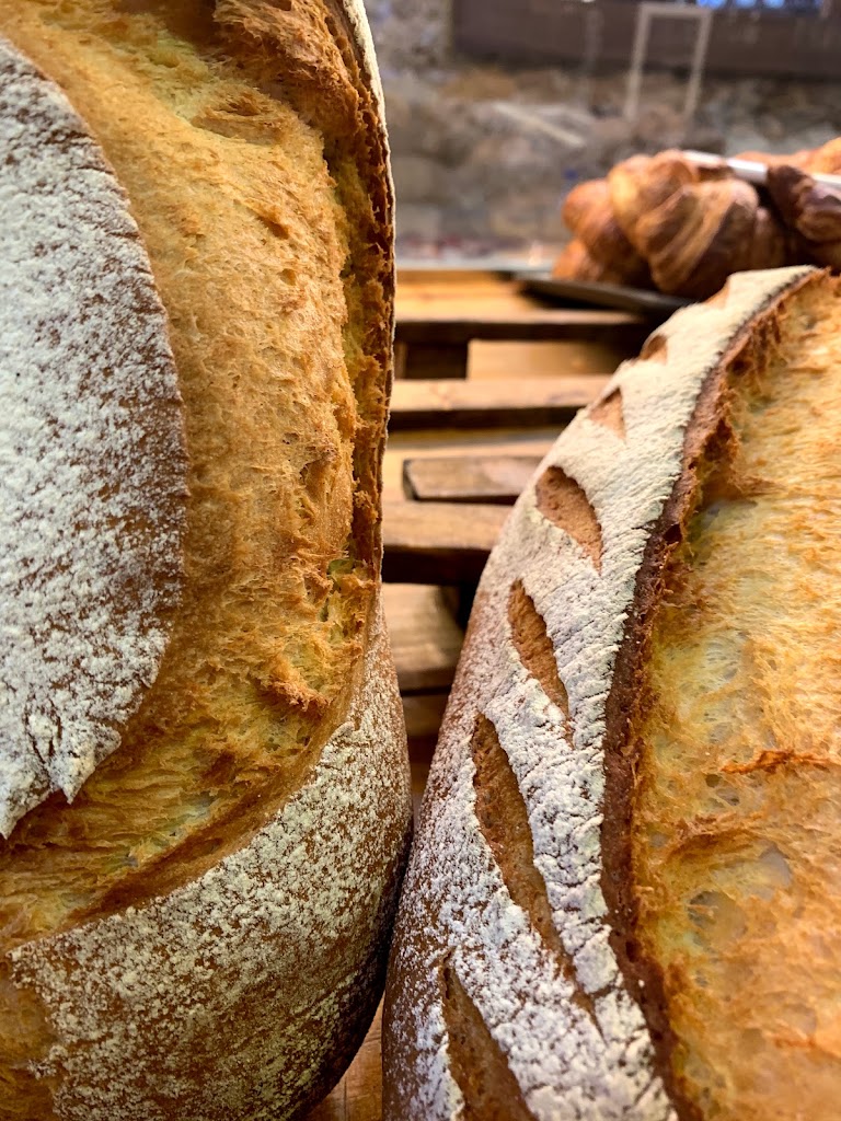Bargallo — Baguette
