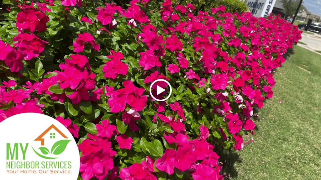 Videos