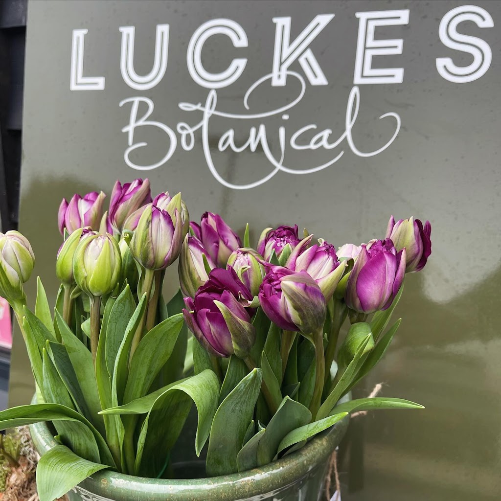 Luckes Botanical
