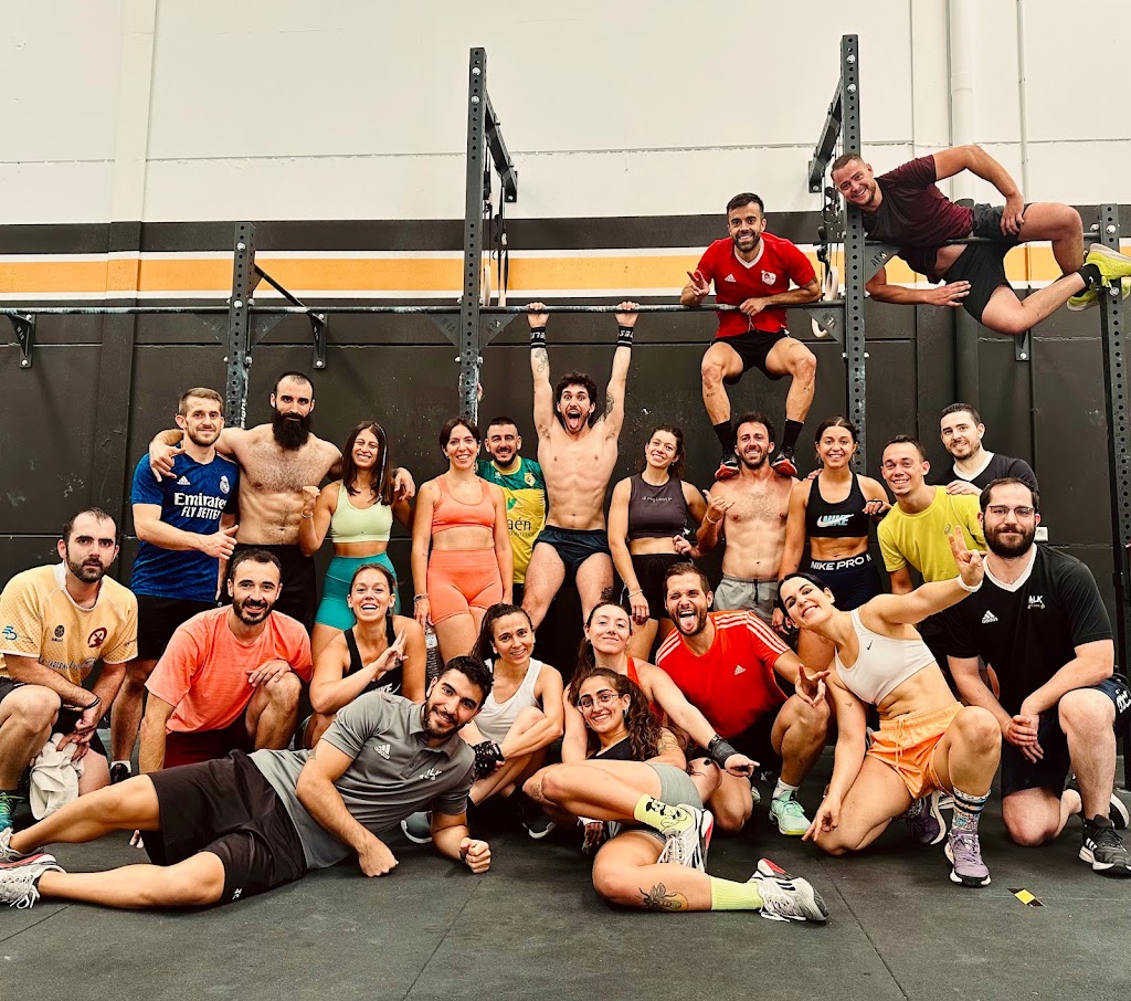ALK Training — Del propietario