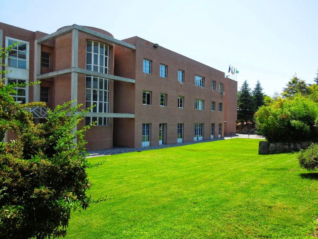 Colegio Los Sauces Torrelodones