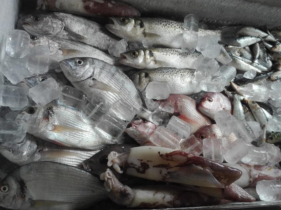 bar marina de la bahi — Comida y bebida