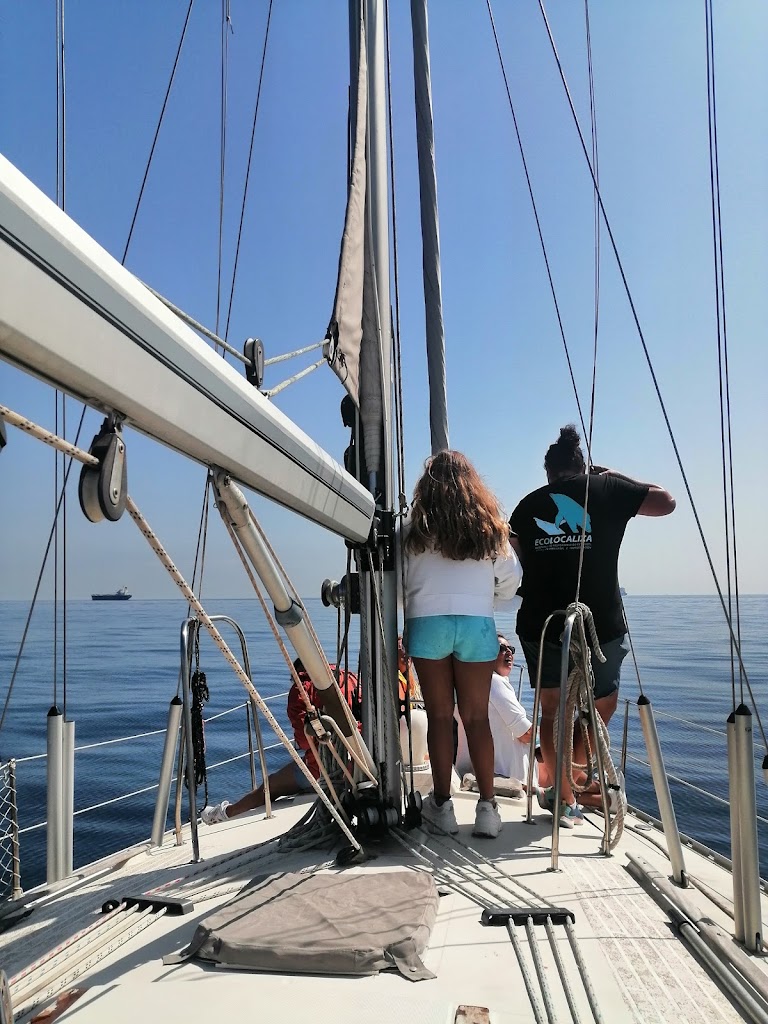 Ecolocaliza - Cetaceos, Educacion Marina e Investigacion — Del propietario
