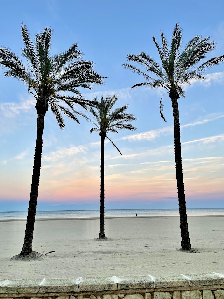 Playa de San Antonio