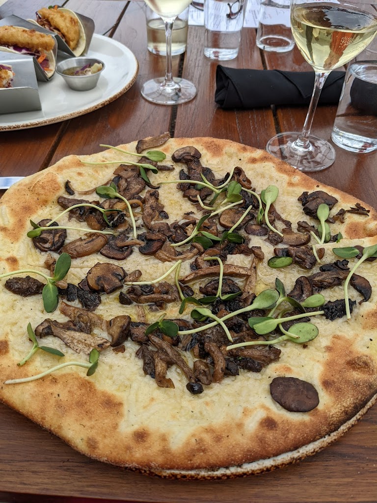 Wild mushroom